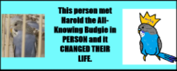 This person met harold the all-knowing in person and it changed their life